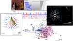 comp of Movie Tagger Alpha data visualizations